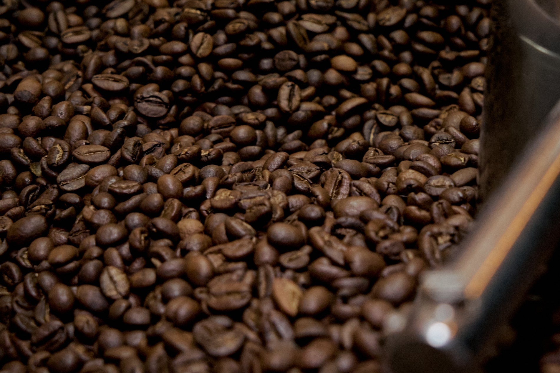 Unsere Rohkaffees